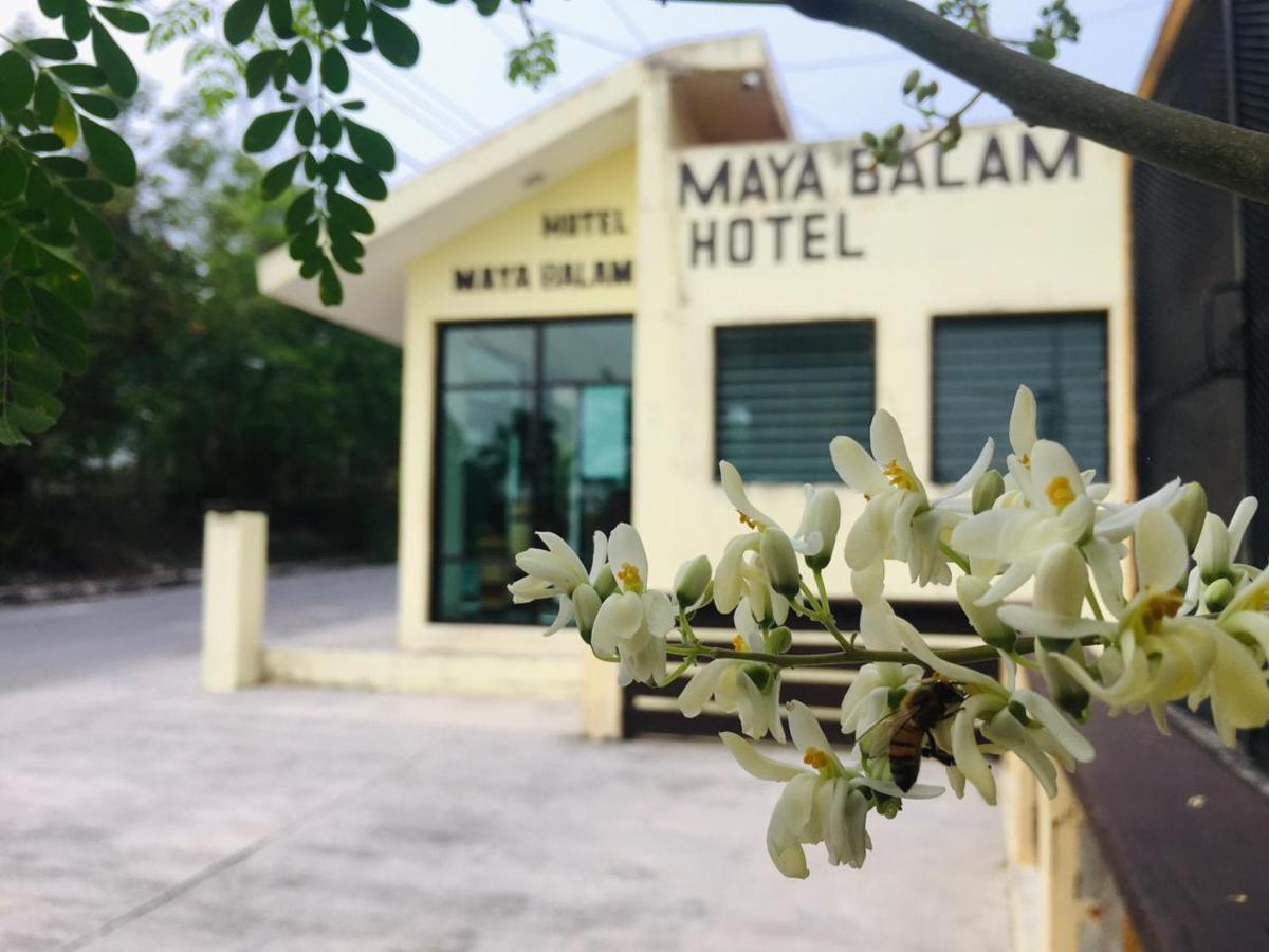 Hotel Maya Balam إكسبوجيل المظهر الخارجي الصورة